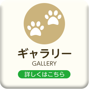 埼玉県入間郡越生のきくた動物病院・わんにゃん美容室88における犬・猫などのペット販売