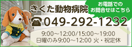 犬・猫などペットの健康管理は埼玉県入間郡越生のきくた動物病院　TEL.049-292-1232